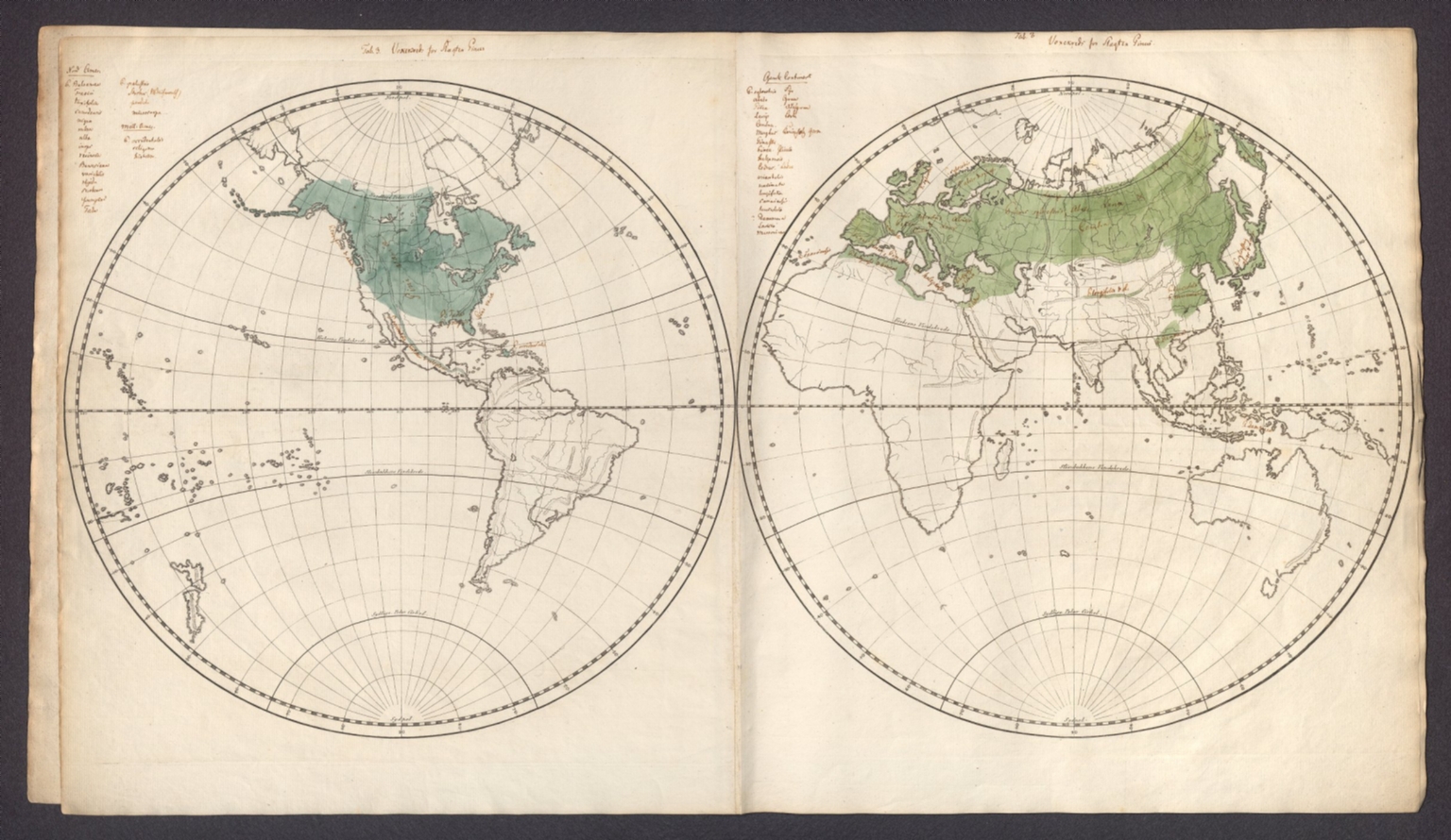Tab. 3 [Proof State of J.F. Schouw's Botanical Atlas] Plantegeographiske Atlas -- Originalexemplar, [Proof State of J.F. Schouw's Botanical Atlas] Plantegeographiske Atlas -- Originalexemplar