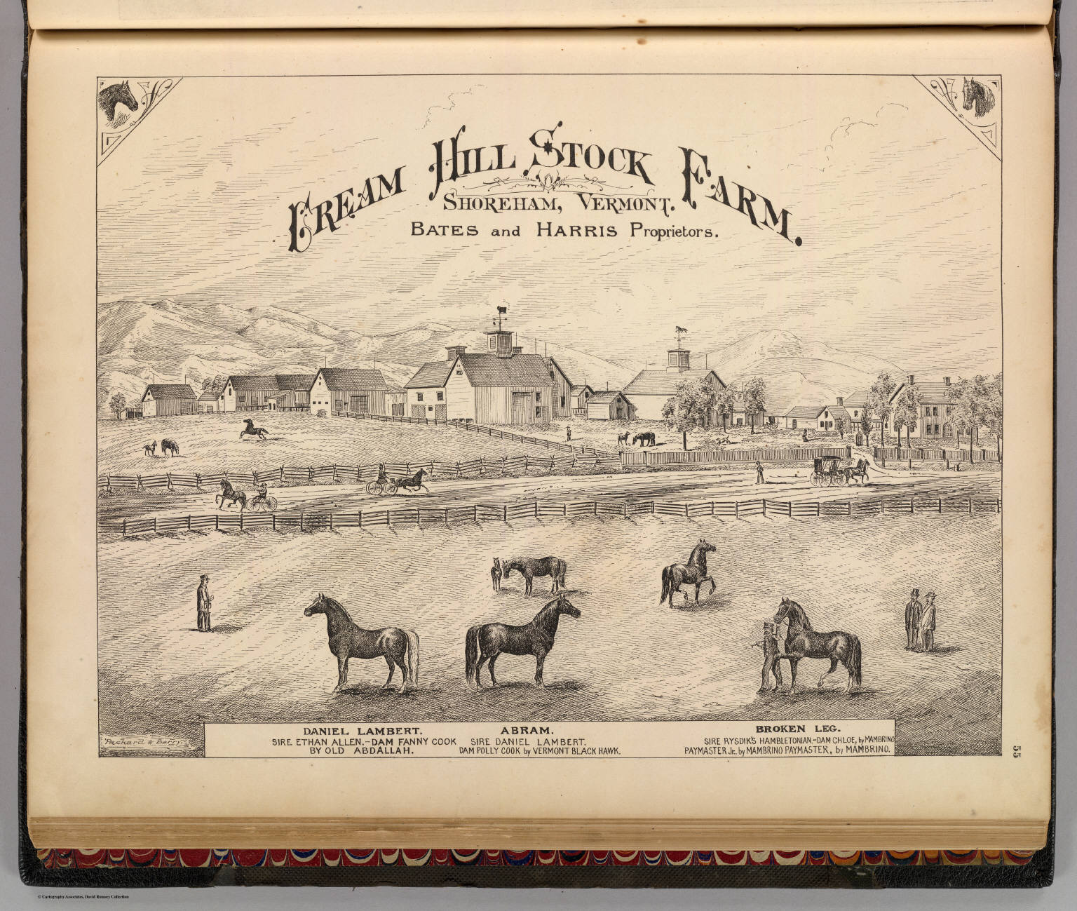 Cream Hill Stock Farm, Shoreham, Vermont. David Rumsey Historical Map