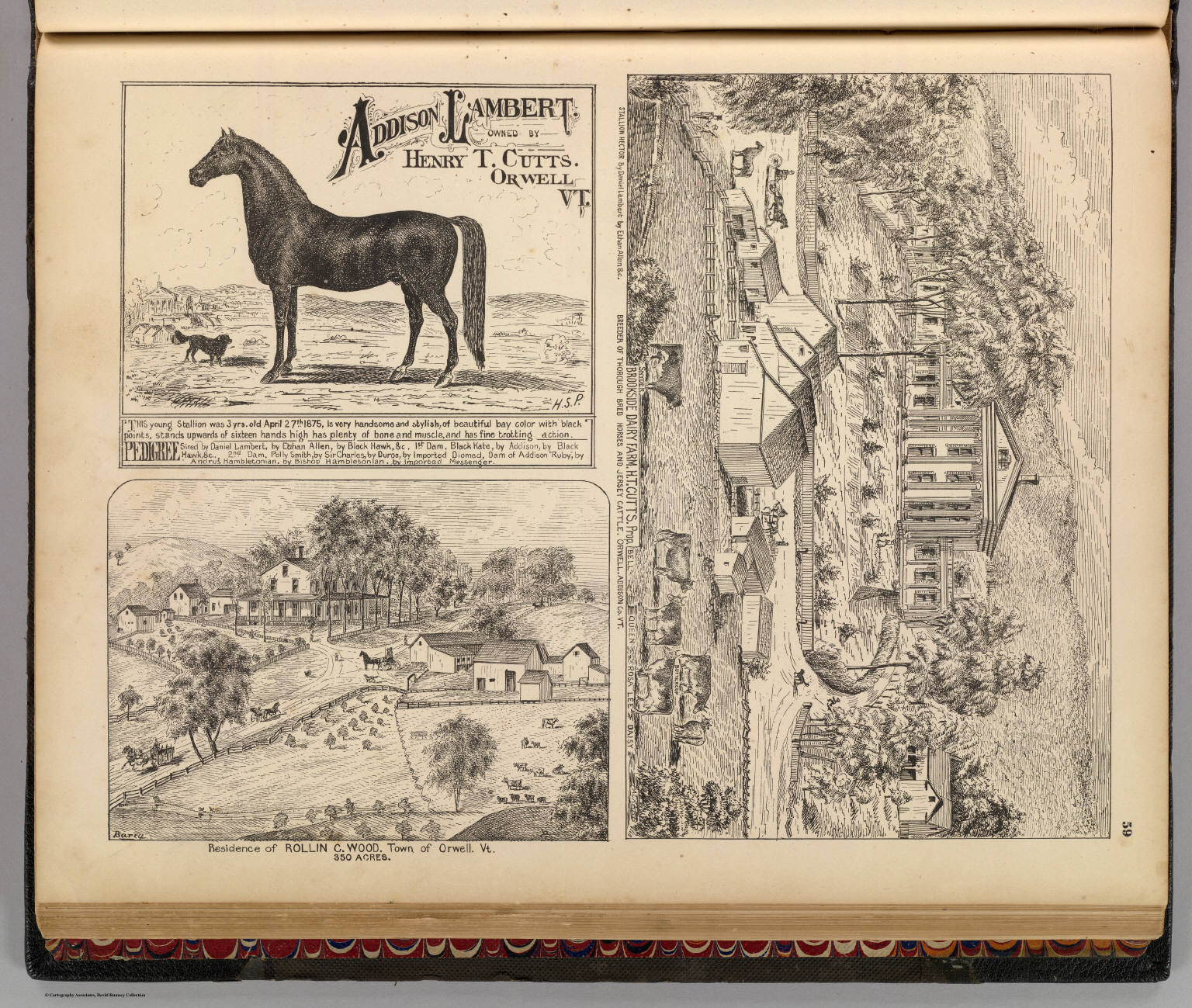 Brookside Dairy Farm, Addison Lambert, and R.C. Wood residence, Orwell