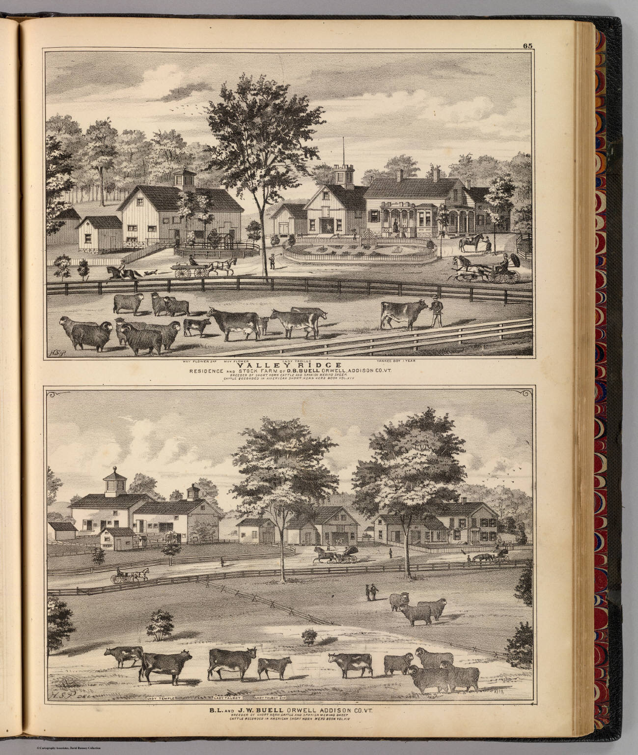 Valley Ridge and Buell residences, Orwell, Addison Co., Vt. David