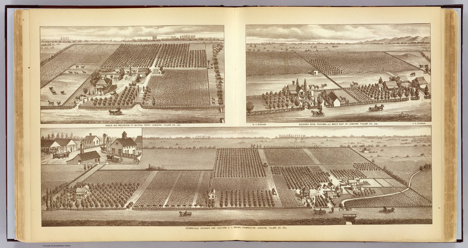 Lemoore ranches. David Rumsey Historical Map Collection