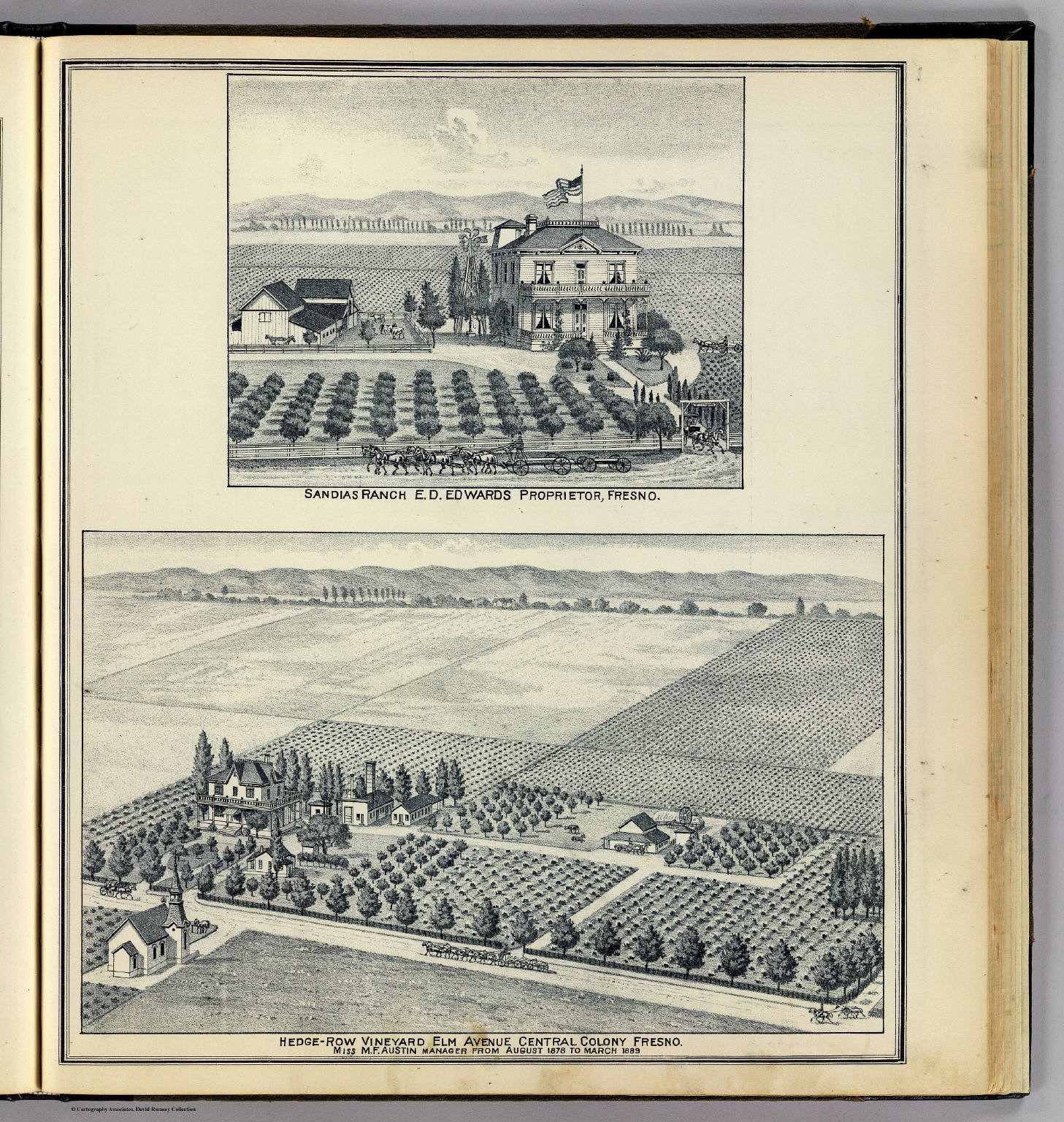 Hedge-Row Vineyard, Fresno. - David Rumsey Historical Map Collection