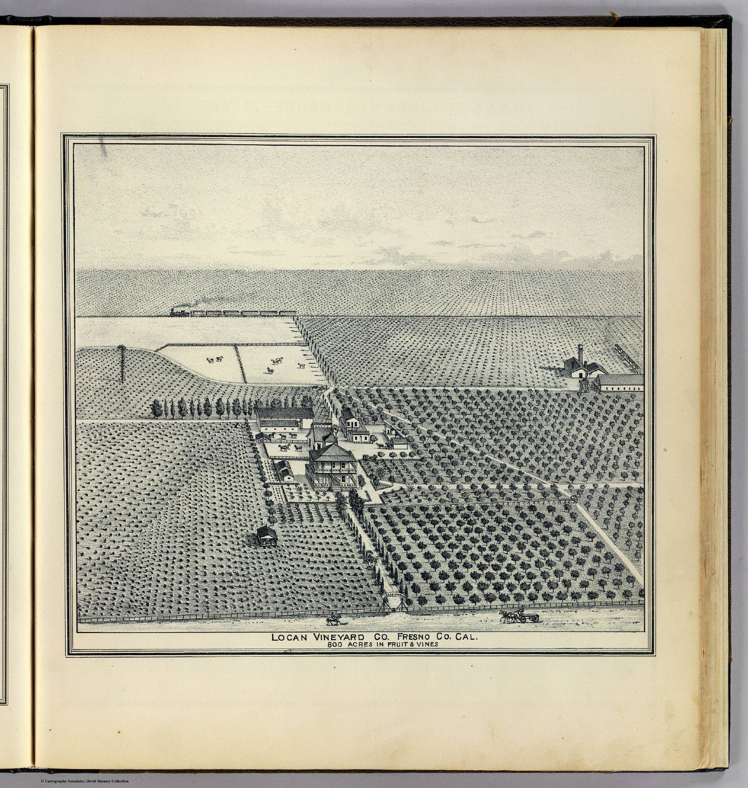 Locan Vineyard, Fresno. - David Rumsey Historical Map Collection