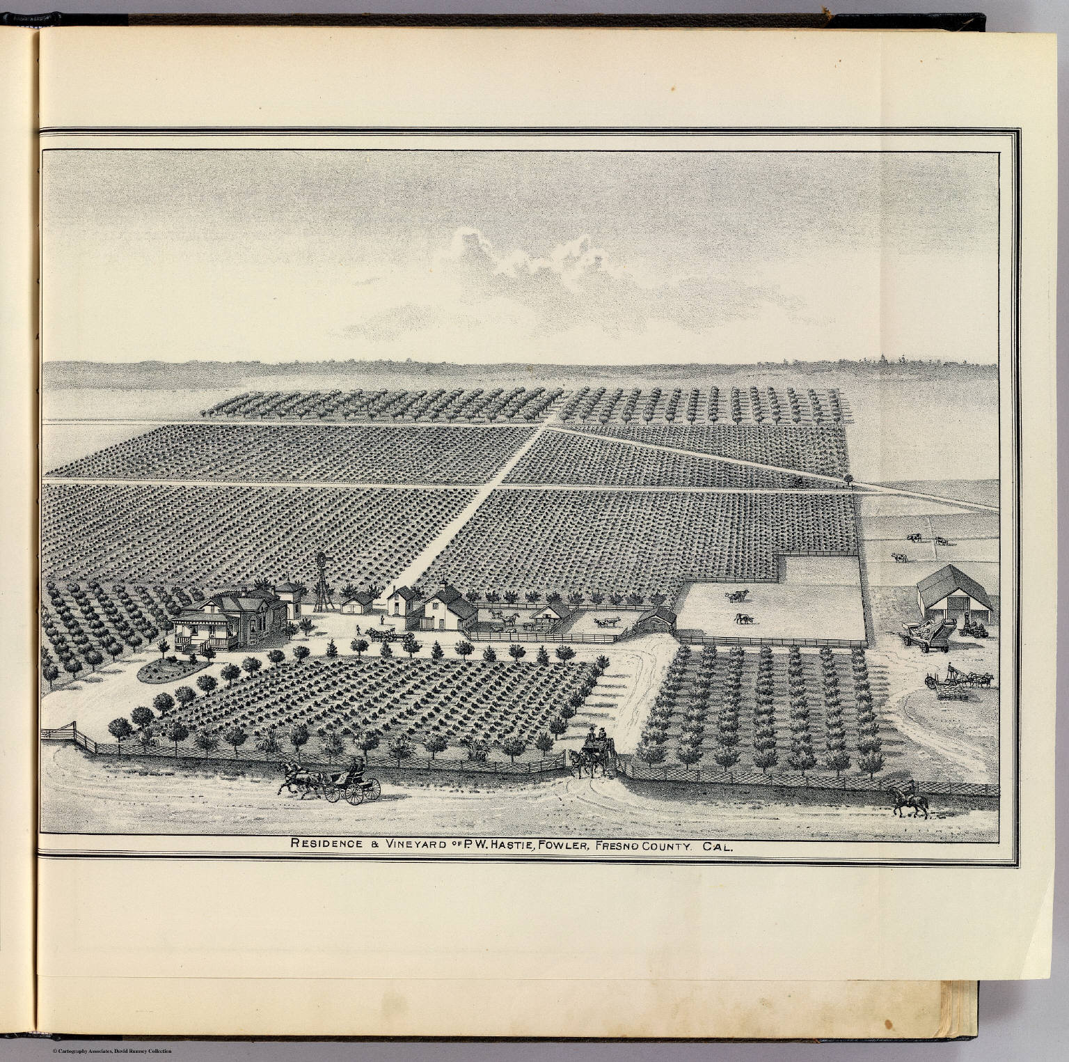 Hastie vineyard, Fowler.30 - David Rumsey Historical Map Collection