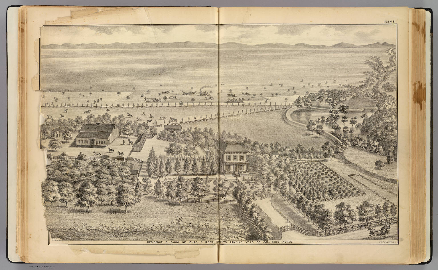 Reed res., Knights Landing. David Rumsey Historical Map Collection