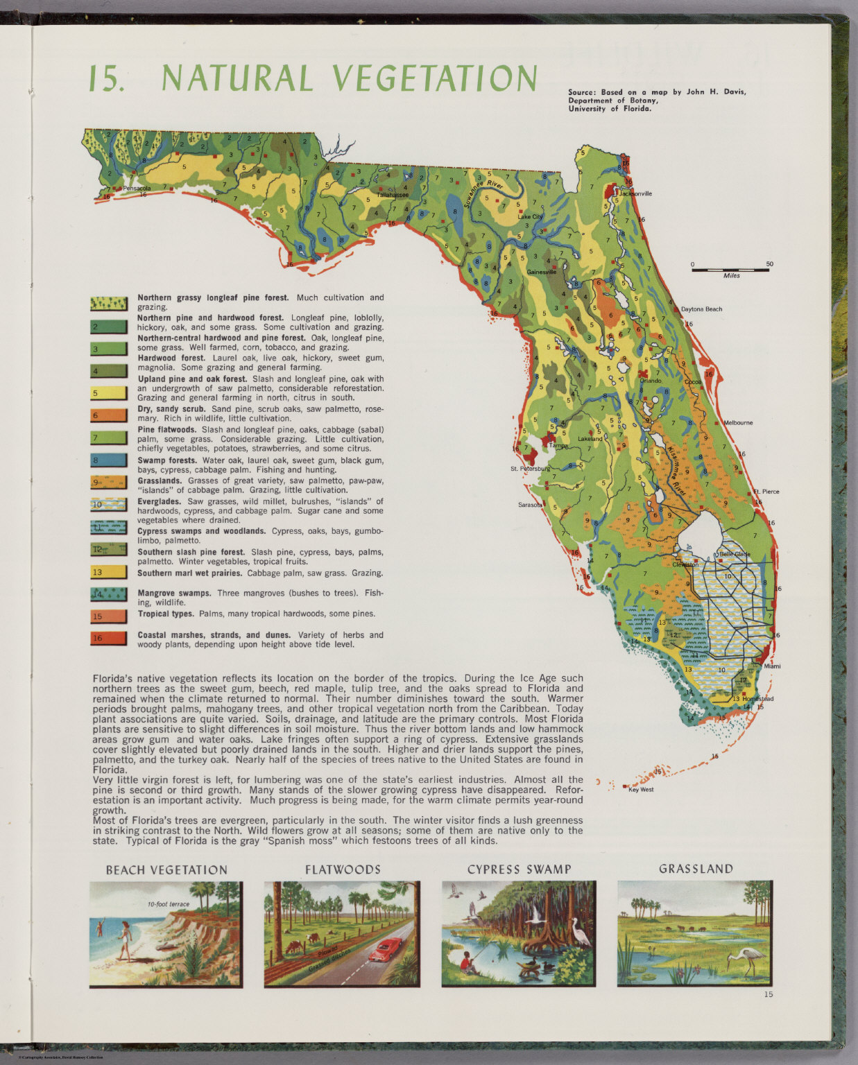 Florida Vegetation Map 2018