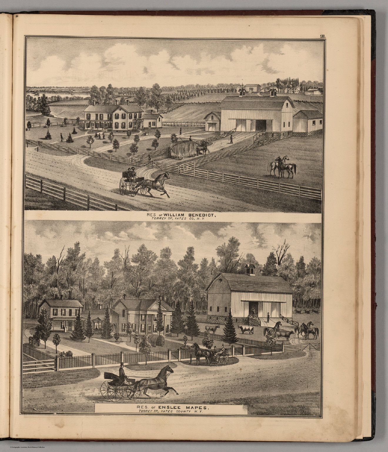 View: Residences of William Benedict and Enslee Mapes. - David Rumsey ...