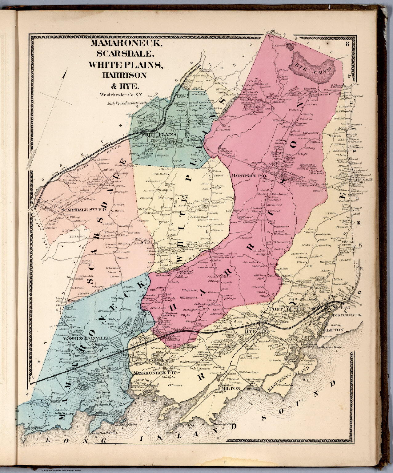 Mamaroneck, Scarsdale, White Plains, Harrison & Rye, Westchester County, New York. David
