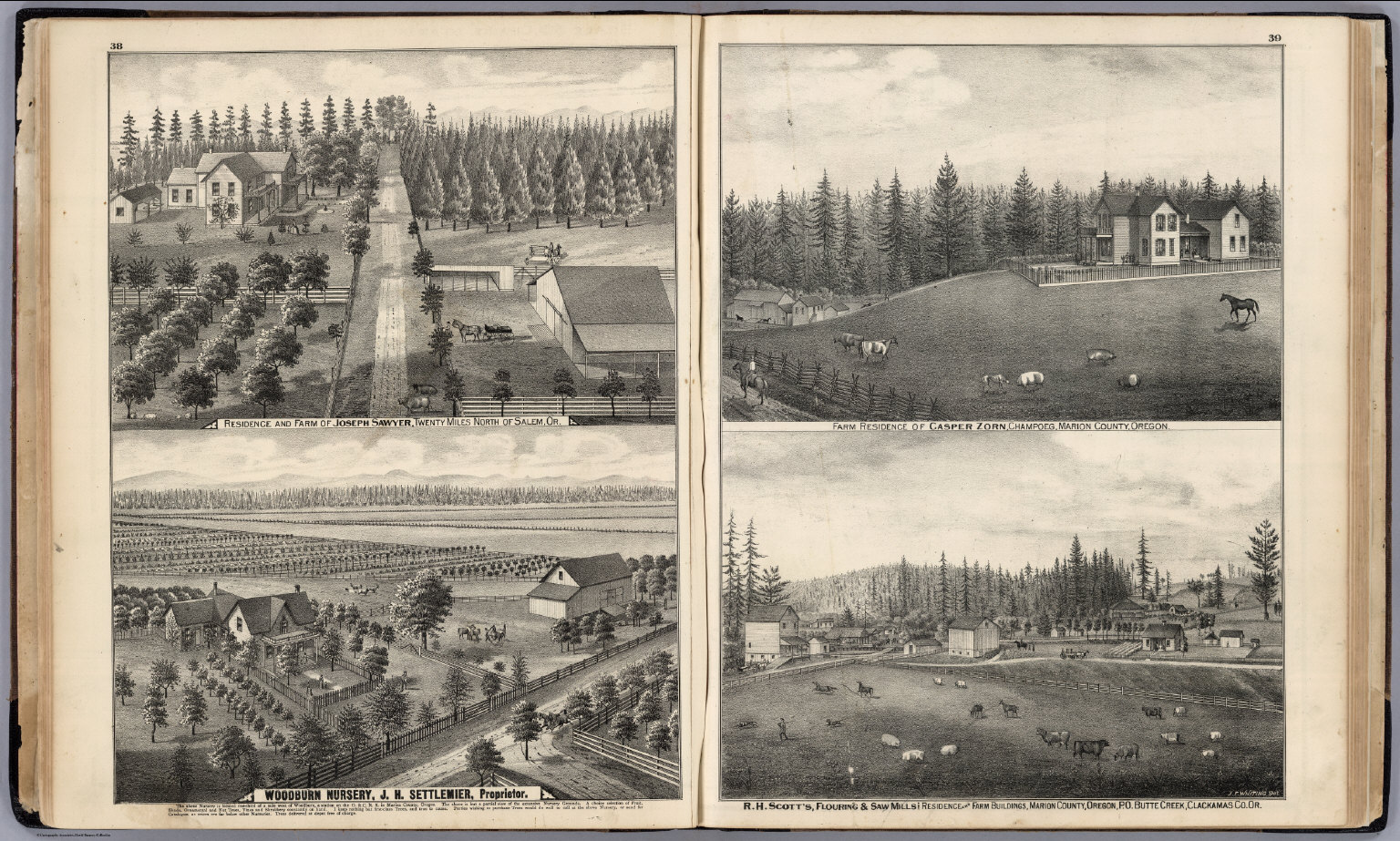 Residences And Farms And A Nursery In Marion County Or David 