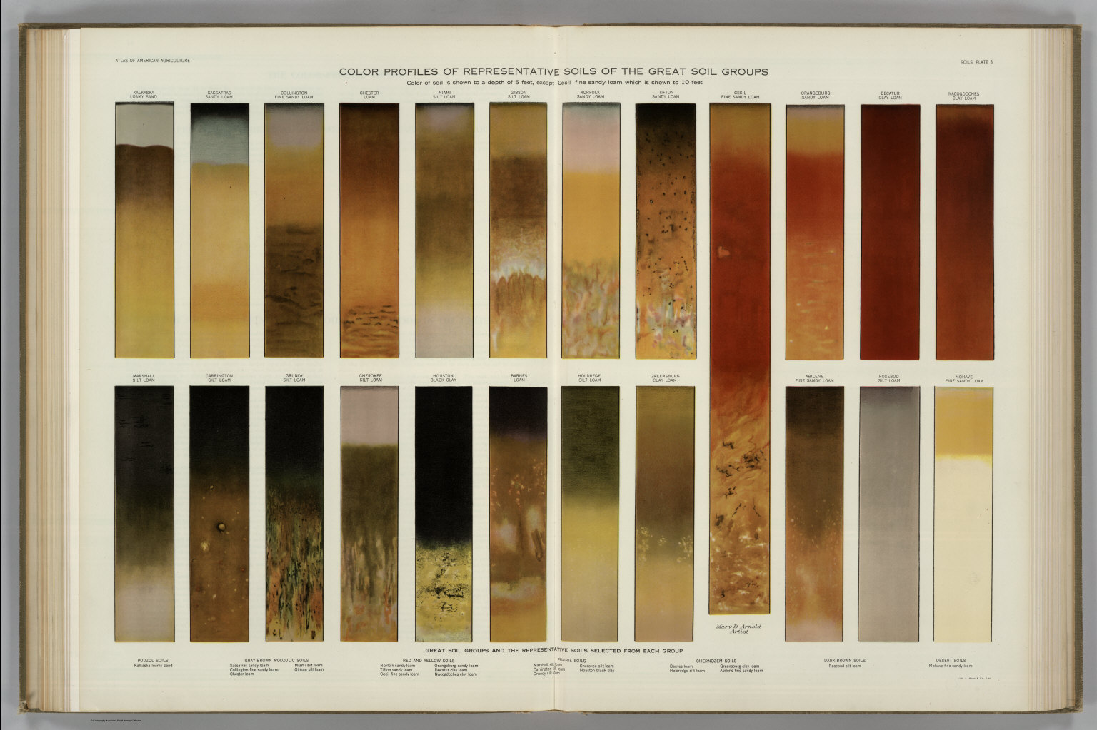 Color Profiles of Representative Soils. Atlas of American Agriculture