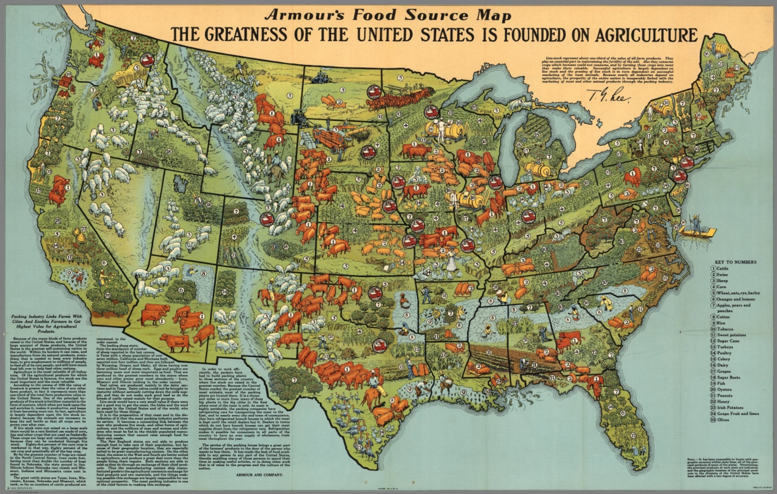 Armour Food Source Map. - David Rumsey Historical Map Collection