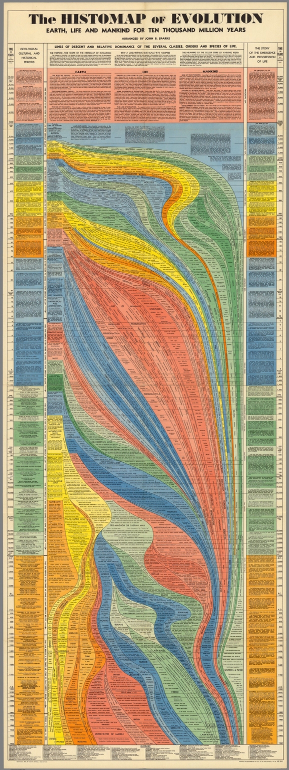 The Histomap Of Evolution - David Rumsey Historical Map Collection