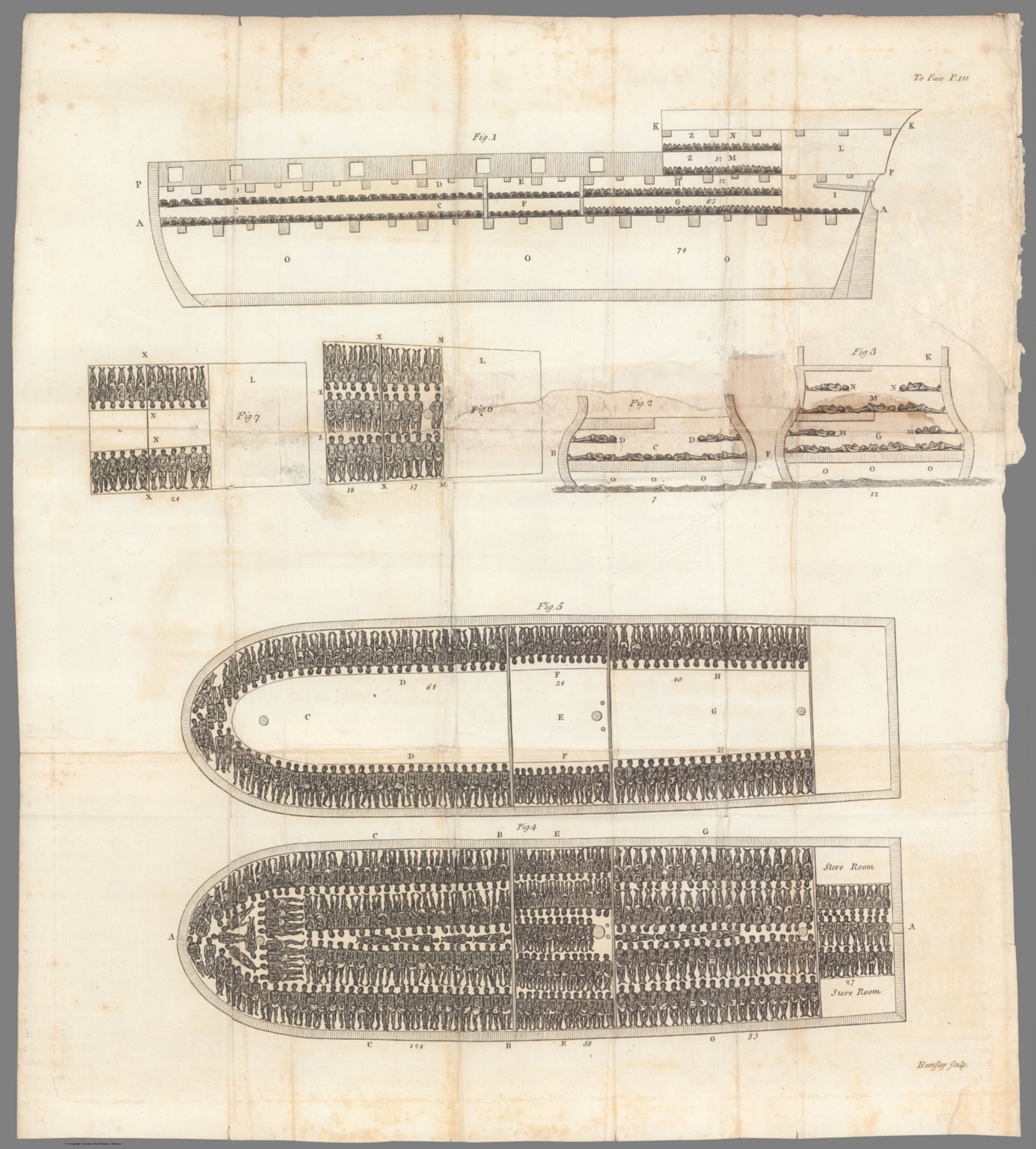 (Drawing of the slave ship 'Brookes'.) David Rumsey Historical Map