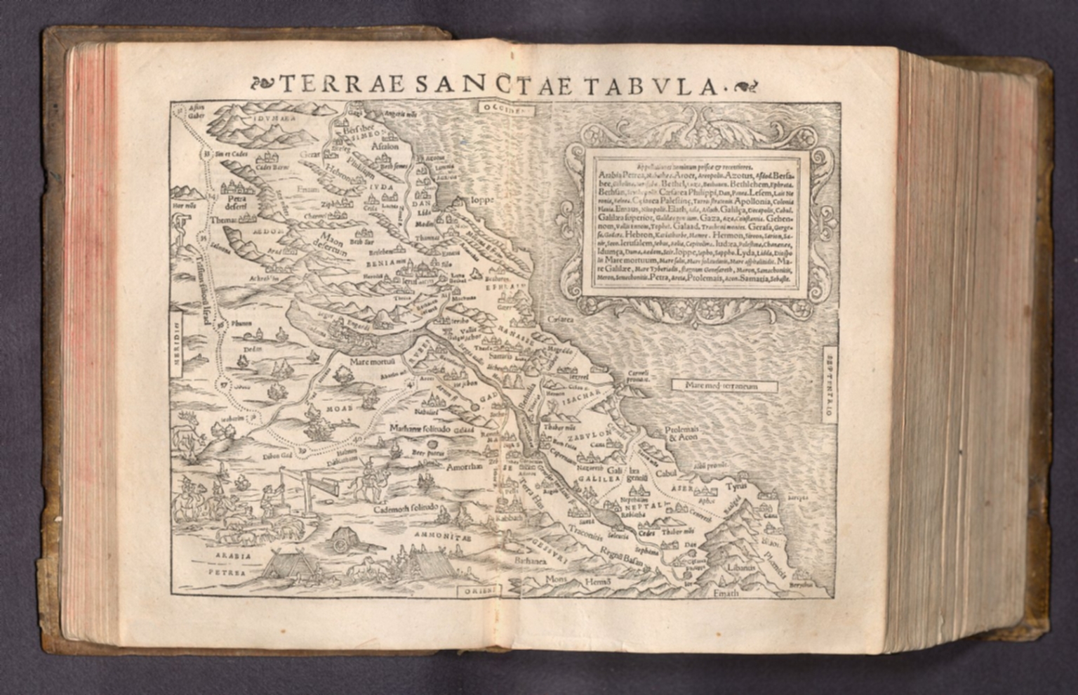 Terrae Sanctae Tabula - David Rumsey Historical Map Collection